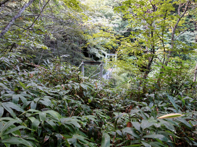 燕岳(中房登山口~東沢乗越)登山口コースガイド 吊橋【登山口ナビ】