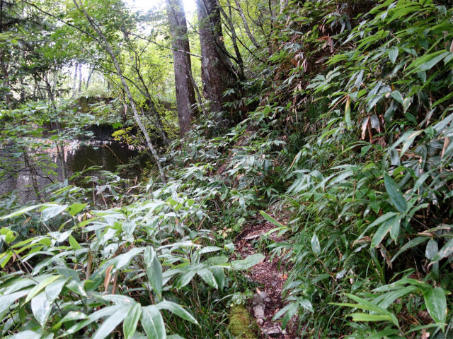 燕岳(中房登山口~東沢乗越)登山口コースガイド 堰堤【登山口ナビ】