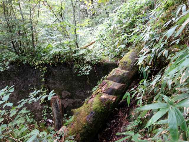 燕岳(中房登山口~東沢乗越)登山口コースガイド 堰堤【登山口ナビ】