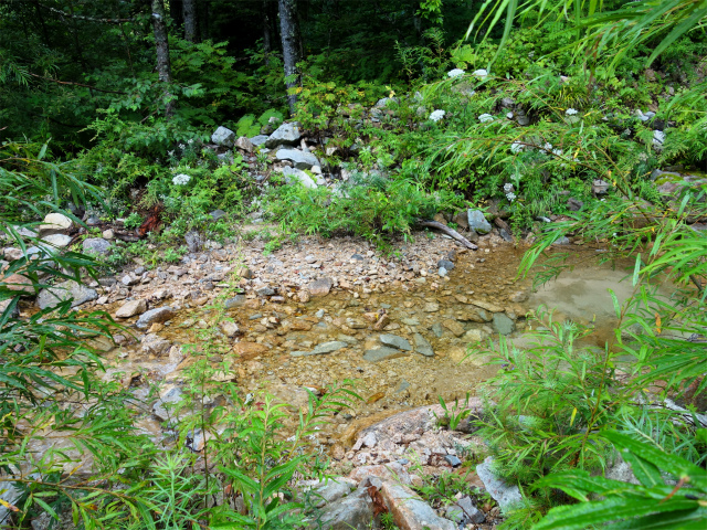 燕岳(中房登山口~東沢乗越)登山口コースガイド 沢の渡渉【登山口ナビ】