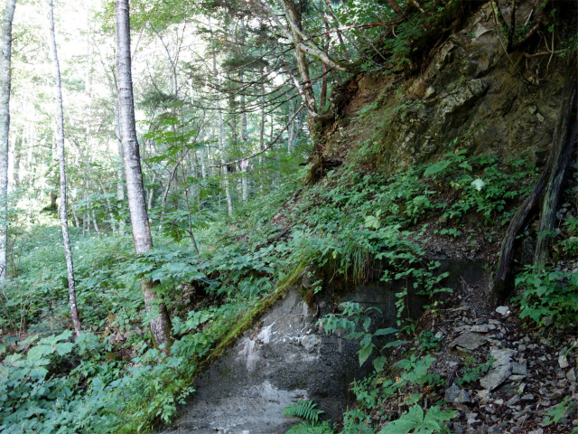 燕岳(中房登山口~東沢乗越)登山口コースガイド 堰堤【登山口ナビ】