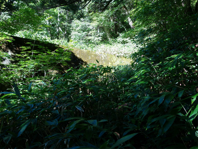 燕岳(中房登山口~東沢乗越)登山口コースガイド 堰堤【登山口ナビ】