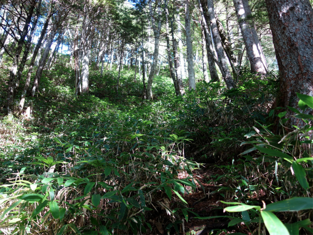 燕岳(中房登山口~東沢乗越)登山口コースガイド 急斜面【登山口ナビ】