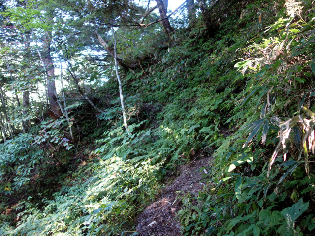 燕岳(中房登山口~東沢乗越)登山口コースガイド トラバース【登山口ナビ】