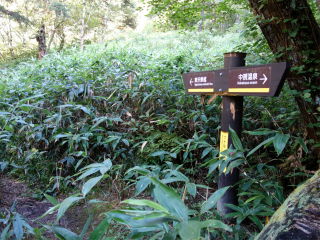 燕岳(中房登山口~東沢乗越)登山口コースガイド ブナ平【登山口ナビ】