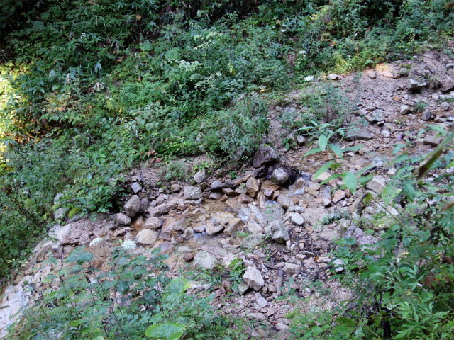 燕岳(中房登山口~東沢乗越)登山口コースガイド 小沢【登山口ナビ】