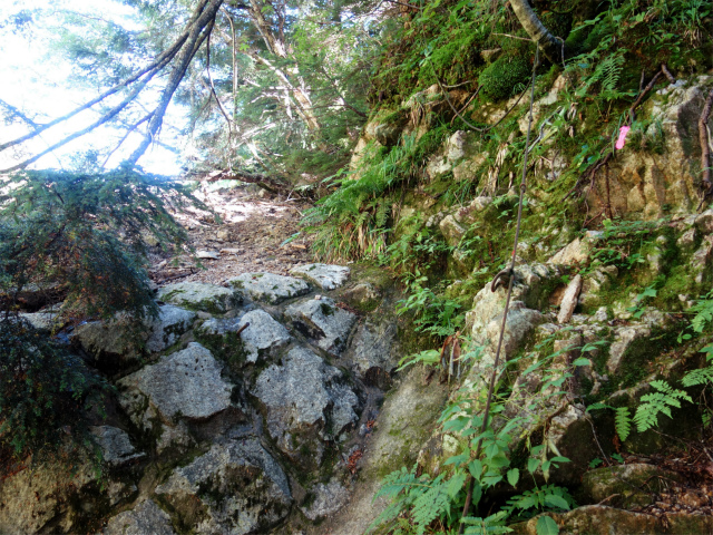 燕岳(中房登山口~東沢乗越)登山口コースガイド 堰堤【登山口ナビ】
