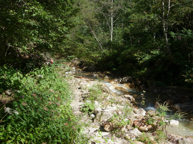 燕岳(中房登山口~東沢乗越)登山口コースガイド 左岸へ渡渉【登山口ナビ】