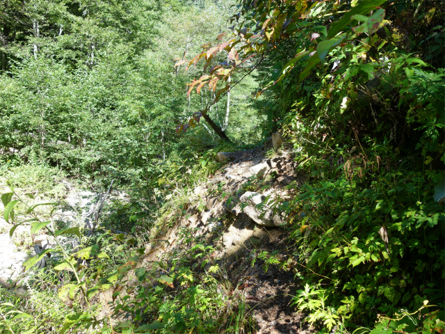 燕岳(中房登山口~東沢乗越)登山口コースガイド 左岸【登山口ナビ】