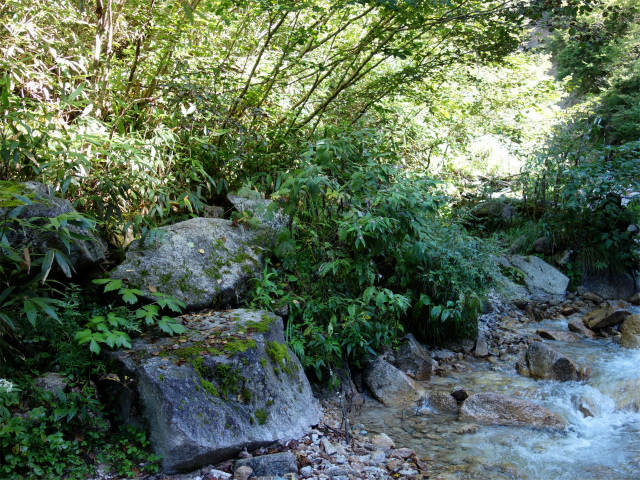 燕岳(中房登山口~東沢乗越)登山口コースガイド【登山口ナビ】