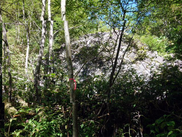 燕岳(中房登山口~東沢乗越)登山口コースガイド 崩れた堰堤【登山口ナビ】