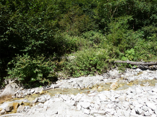 燕岳(中房登山口~東沢乗越)登山口コースガイド 西大洞沢出合【登山口ナビ】