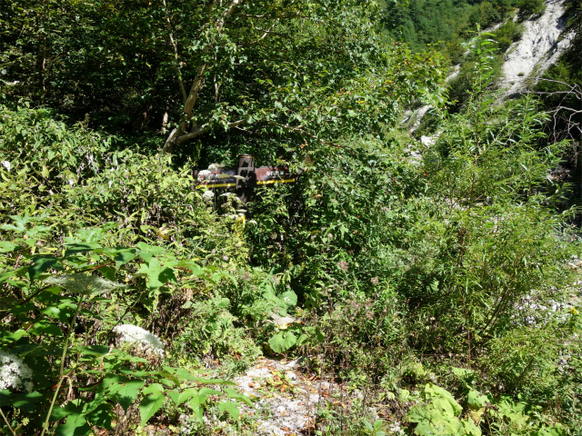 燕岳(中房登山口~東沢乗越)登山口コースガイド 西大洞沢出合指導標【登山口ナビ】