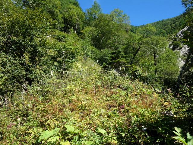 燕岳(中房登山口~東沢乗越)登山口コースガイド 尾根筋【登山口ナビ】