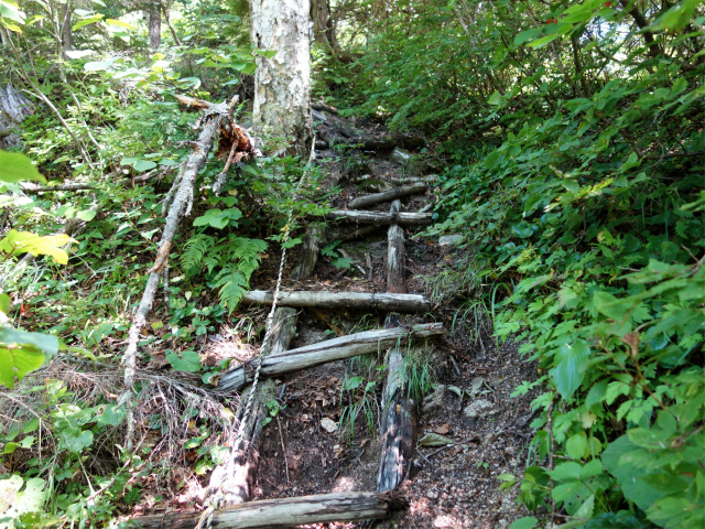 燕岳(中房登山口~東沢乗越)登山口コースガイド ハシゴやロープの急登【登山口ナビ】
