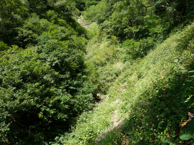 燕岳(中房登山口~東沢乗越)登山口コースガイド トラバース【登山口ナビ】