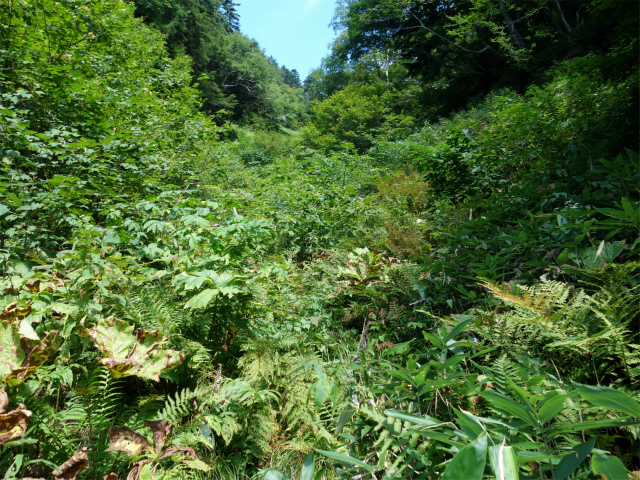 燕岳(中房登山口~東沢乗越)登山口コースガイド 谷筋【登山口ナビ】