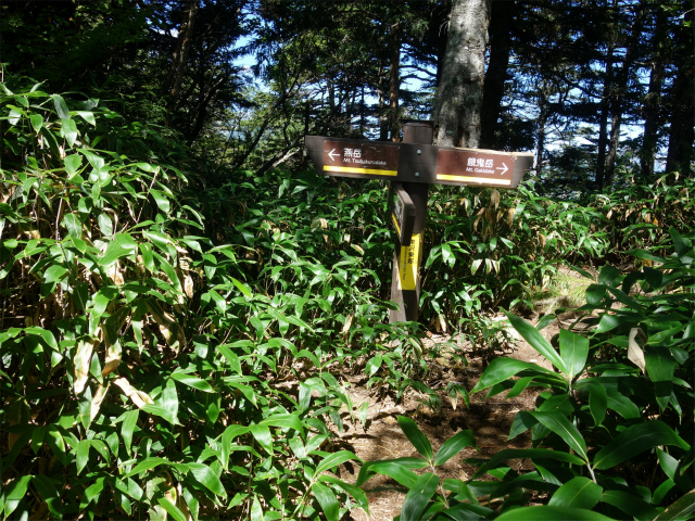 燕岳(中房登山口~東沢乗越)登山口コースガイド 東沢乗越【登山口ナビ】
