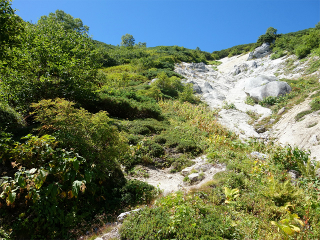 燕岳(中房登山口~東沢乗越)登山口コースガイド 急斜面【登山口ナビ】