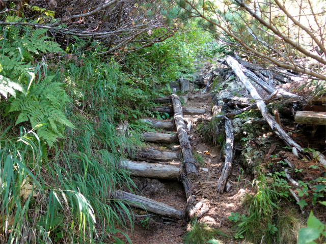 燕岳(中房登山口~東沢乗越)登山口コースガイド 急斜面の梯子【登山口ナビ】