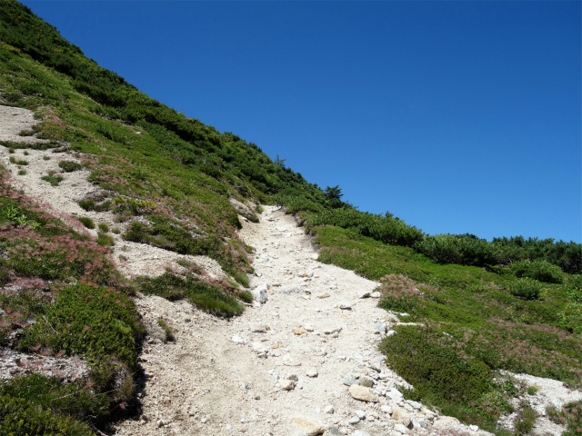 燕岳(中房登山口~東沢乗越)登山口コースガイド【登山口ナビ】