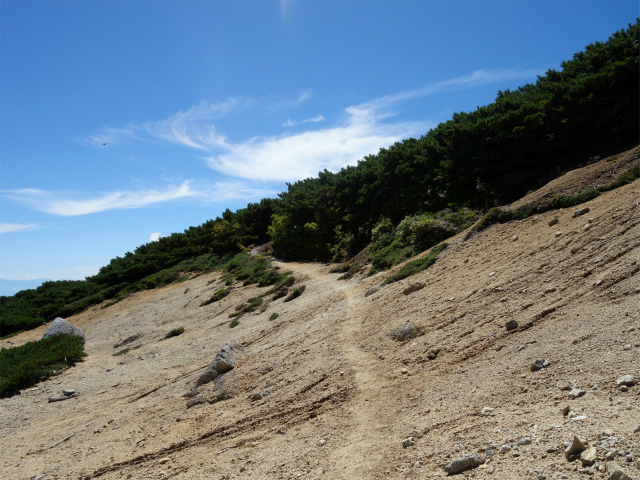 燕岳(中房登山口~東沢乗越)登山口コースガイド 2723mピーク直下【登山口ナビ】