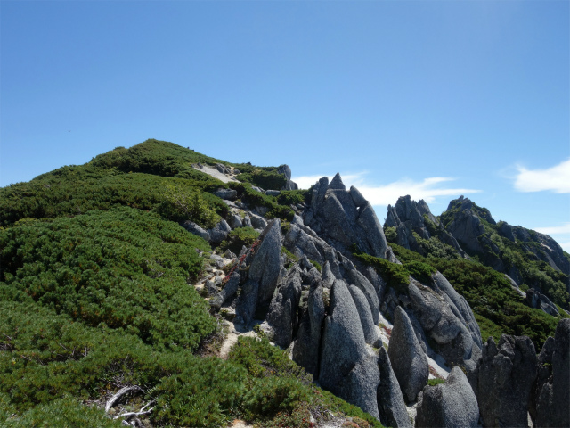 燕岳(中房登山口~東沢乗越)登山口コースガイド 稜線【登山口ナビ】