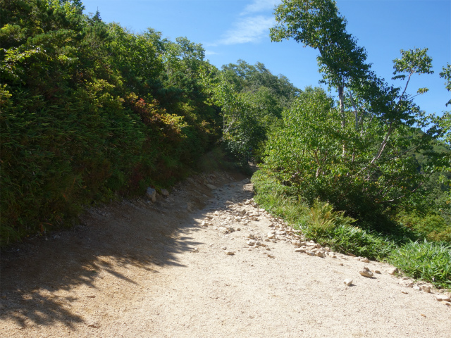 燕岳（中房登山口～合戦尾根）登山口コースガイド 灌木帯【登山口ナビ】