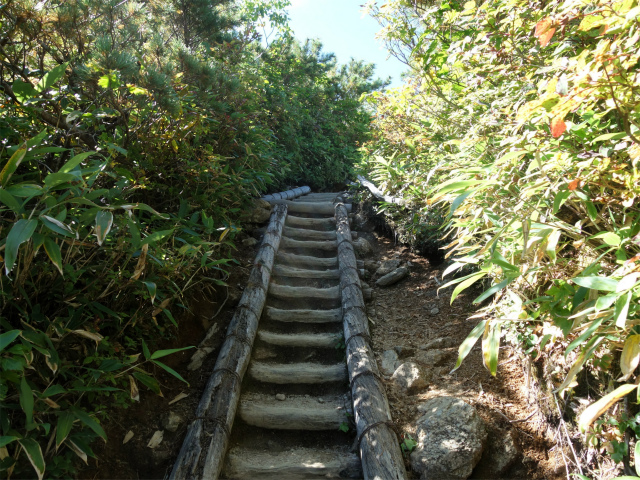 燕岳（中房登山口～合戦尾根）登山口コースガイド 灌木帯【登山口ナビ】
