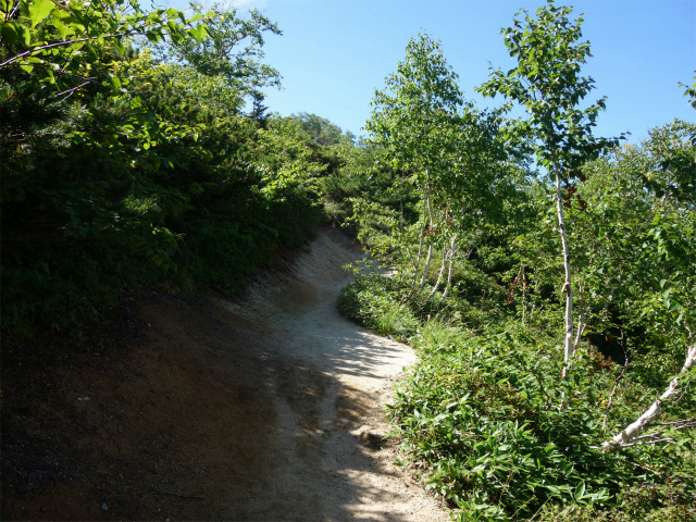 燕岳（中房登山口～合戦尾根）登山口コースガイド なだらかな尾根【登山口ナビ】