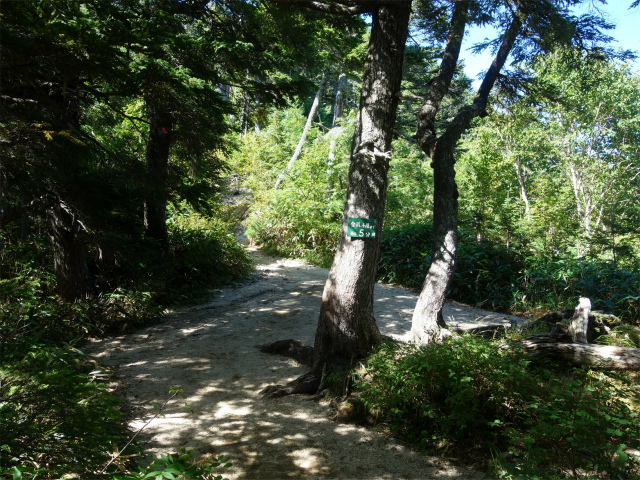 燕岳（中房登山口～合戦尾根）登山口コースガイド なだらかな尾根【登山口ナビ】