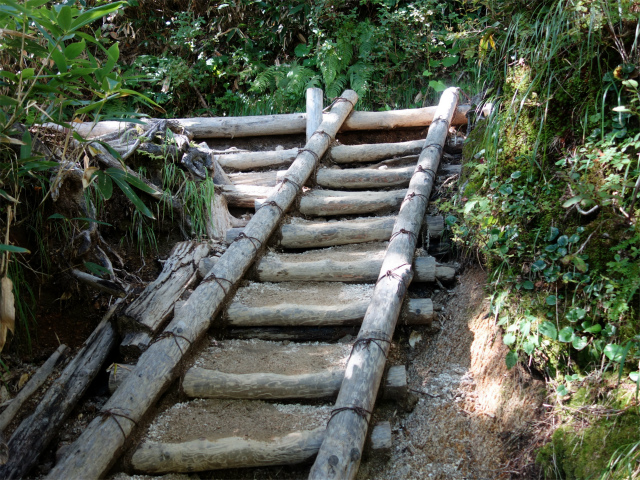 燕岳（中房登山口～合戦尾根）登山口コースガイド 屈曲点手前の階段【登山口ナビ】