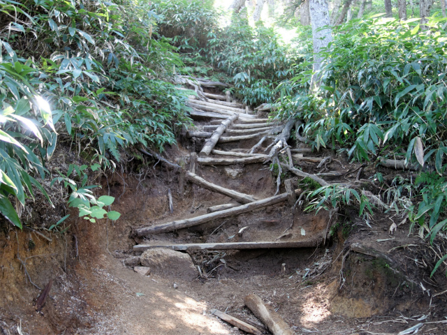 燕岳（中房登山口～合戦尾根）登山口コースガイド 階段【登山口ナビ】