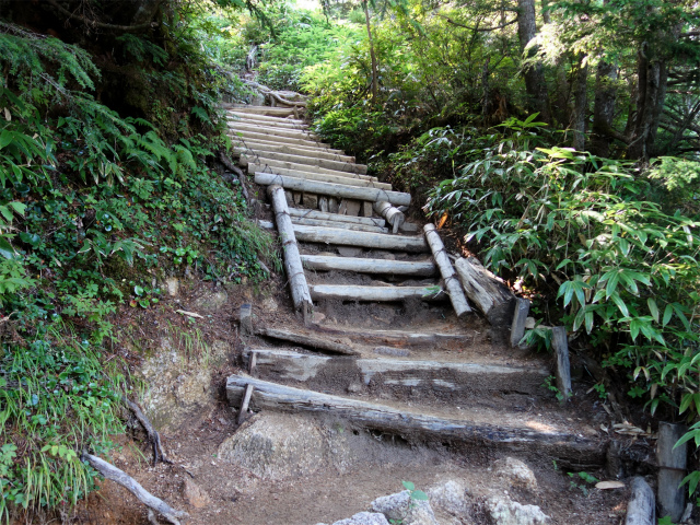 燕岳（中房登山口～合戦尾根）登山口コースガイド 階段【登山口ナビ】
