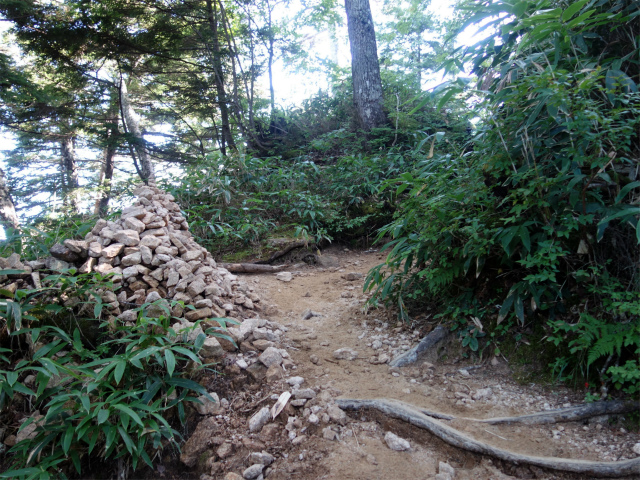 燕岳（中房登山口～合戦尾根）登山口コースガイド【登山口ナビ】