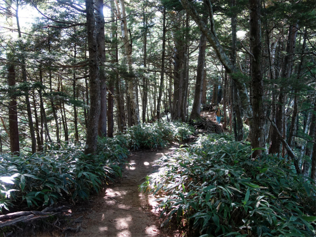 燕岳（中房登山口～合戦尾根）登山口コースガイド なだらかな区間【登山口ナビ】