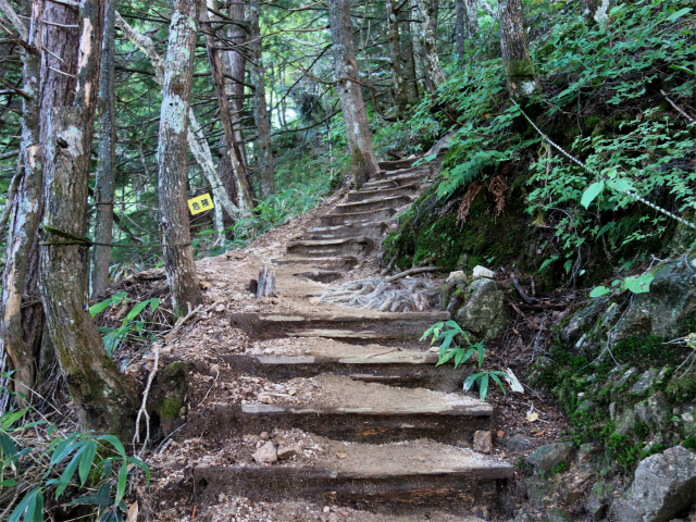 燕岳（中房登山口～合戦尾根）登山口コースガイド 階段の急登【登山口ナビ】
