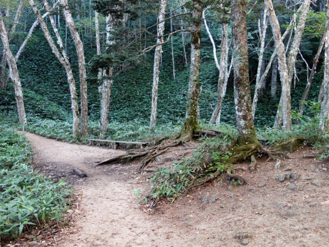 燕岳（中房登山口～合戦尾根）登山口コースガイド 第一ベンチ【登山口ナビ】