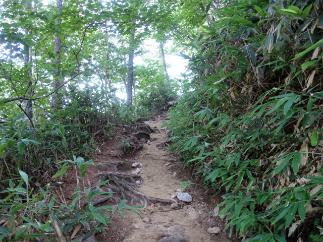 燕岳（中房登山口～合戦尾根）登山口コースガイド 尾根筋【登山口ナビ】