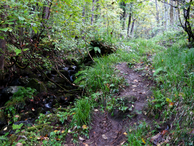 武尊山(武尊神社~剣ヶ峰山周回)登山口コースガイド 沢沿い【登山口ナビ】