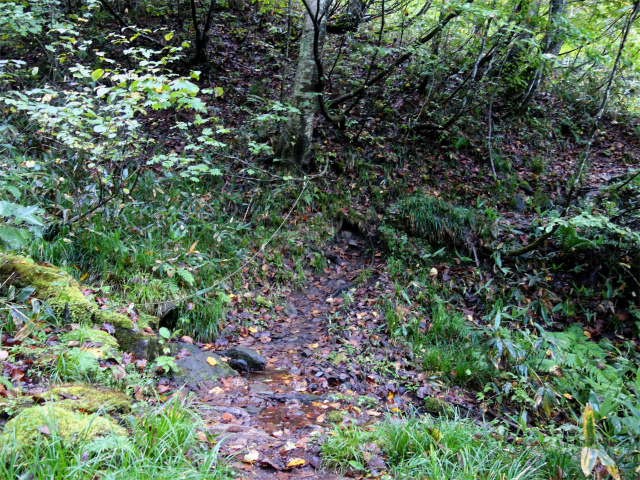 武尊山(武尊神社~剣ヶ峰山周回)登山口コースガイド 沢筋【登山口ナビ】