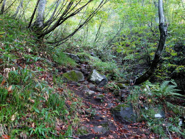 武尊山(武尊神社~剣ヶ峰山周回)登山口コースガイド 沢筋【登山口ナビ】