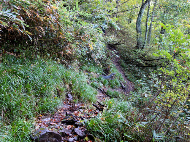 武尊山(武尊神社~剣ヶ峰山周回)登山口コースガイド トラバース【登山口ナビ】