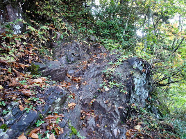 武尊山(武尊神社~剣ヶ峰山周回)登山口コースガイド 露岩【登山口ナビ】