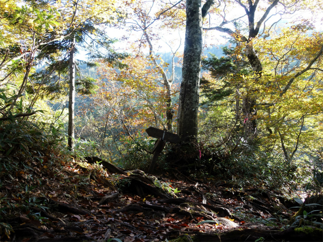 武尊山(武尊神社~剣ヶ峰山周回)登山口コースガイド 上の原登山口分岐【登山口ナビ】