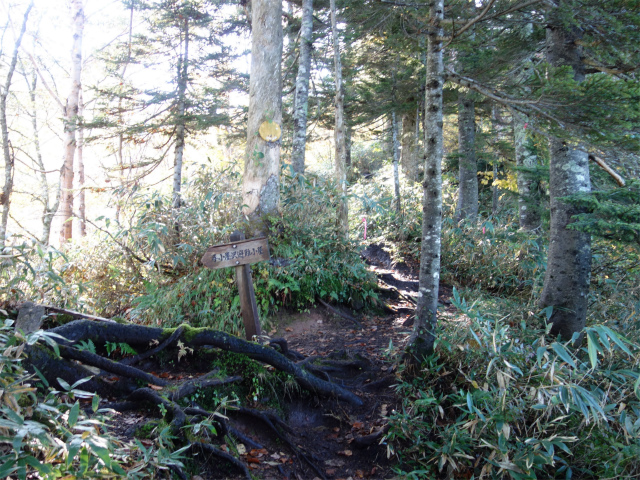 武尊山(武尊神社~剣ヶ峰山周回)登山口コースガイド なだらかな尾根道【登山口ナビ】