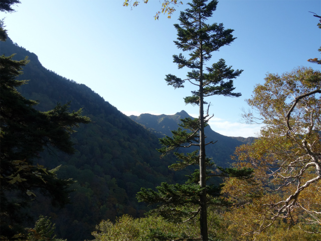 武尊山(武尊神社~剣ヶ峰山周回)登山口コースガイド 尾根筋からの剣ヶ峰山【登山口ナビ】