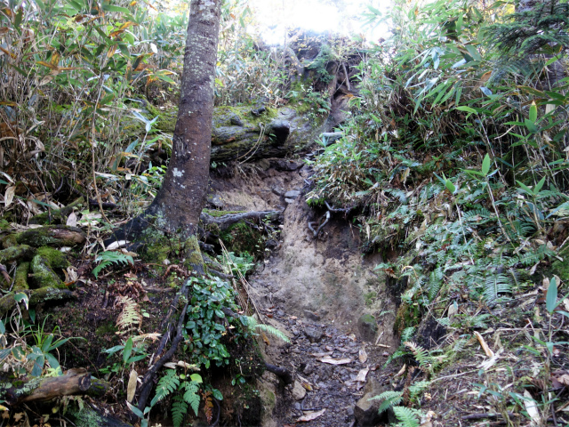 武尊山(武尊神社~剣ヶ峰山周回)登山口コースガイド ロープの急斜面【登山口ナビ】