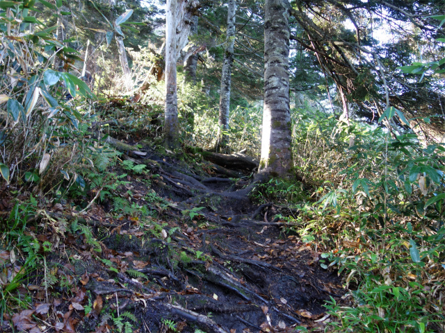 武尊山(武尊神社~剣ヶ峰山周回)登山口コースガイド【登山口ナビ】