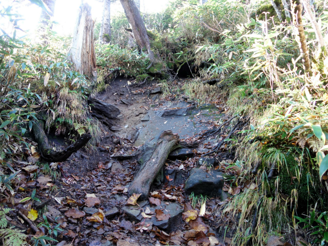 武尊山(武尊神社~剣ヶ峰山周回)登山口コースガイド 急登【登山口ナビ】
